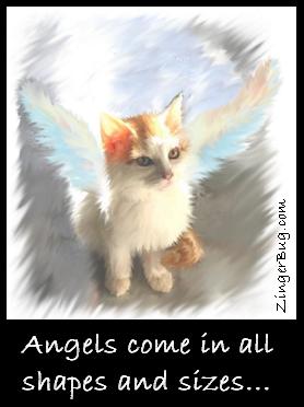 Kitty Angel Glitter Graphic, Greeting, Comment, Meme or GIF